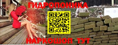 мдпв Ярославль