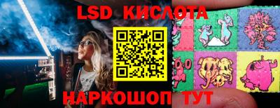 мдпв Ярославль