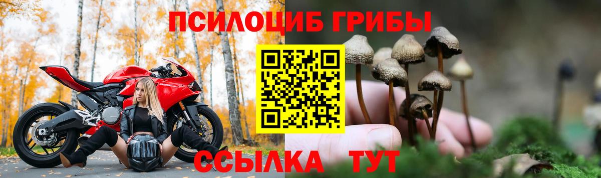 Псилоцибиновые грибы мицелий Выборг